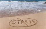 no stress