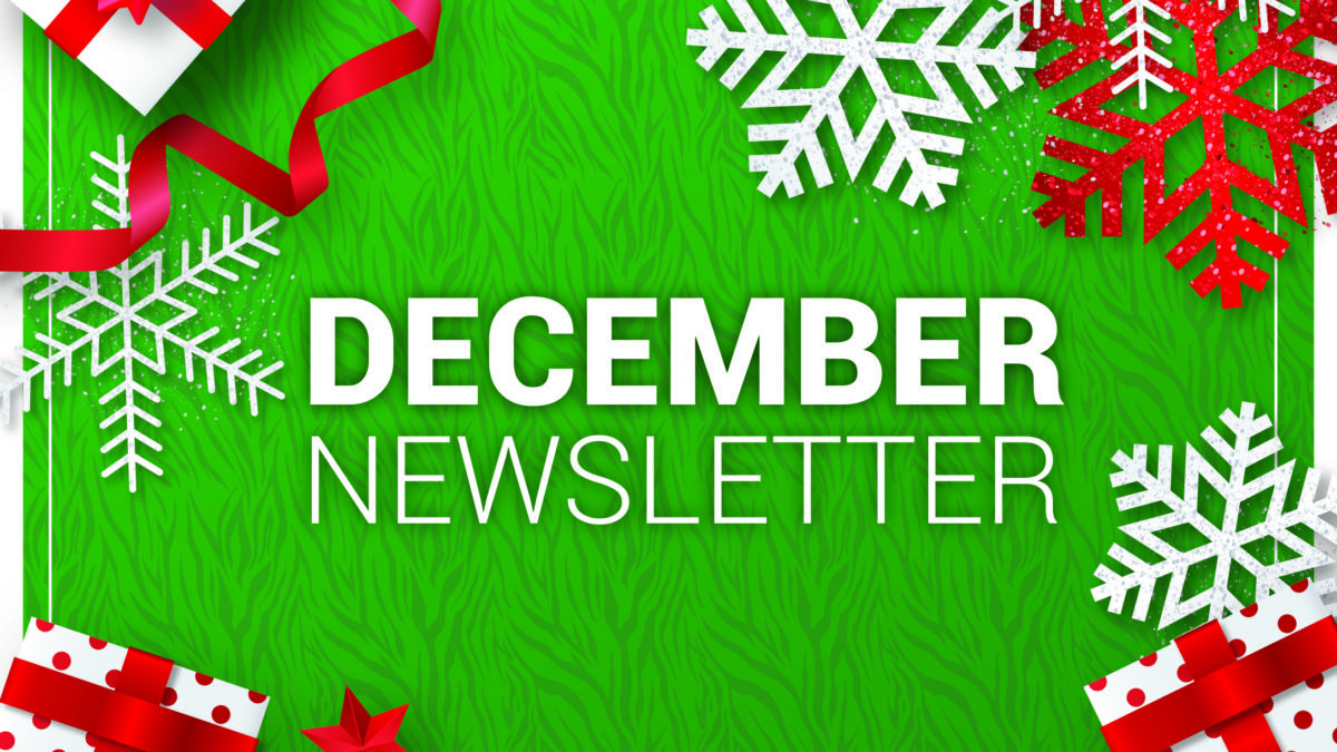 December 2020 Newsletter_Blog December 2020 Newsletter_Blog
