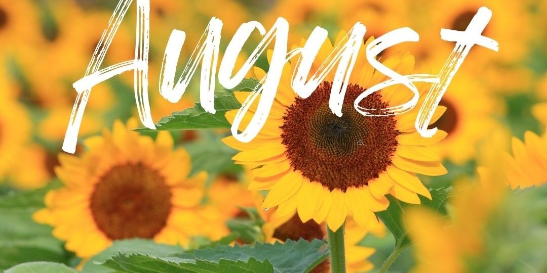 August - 1